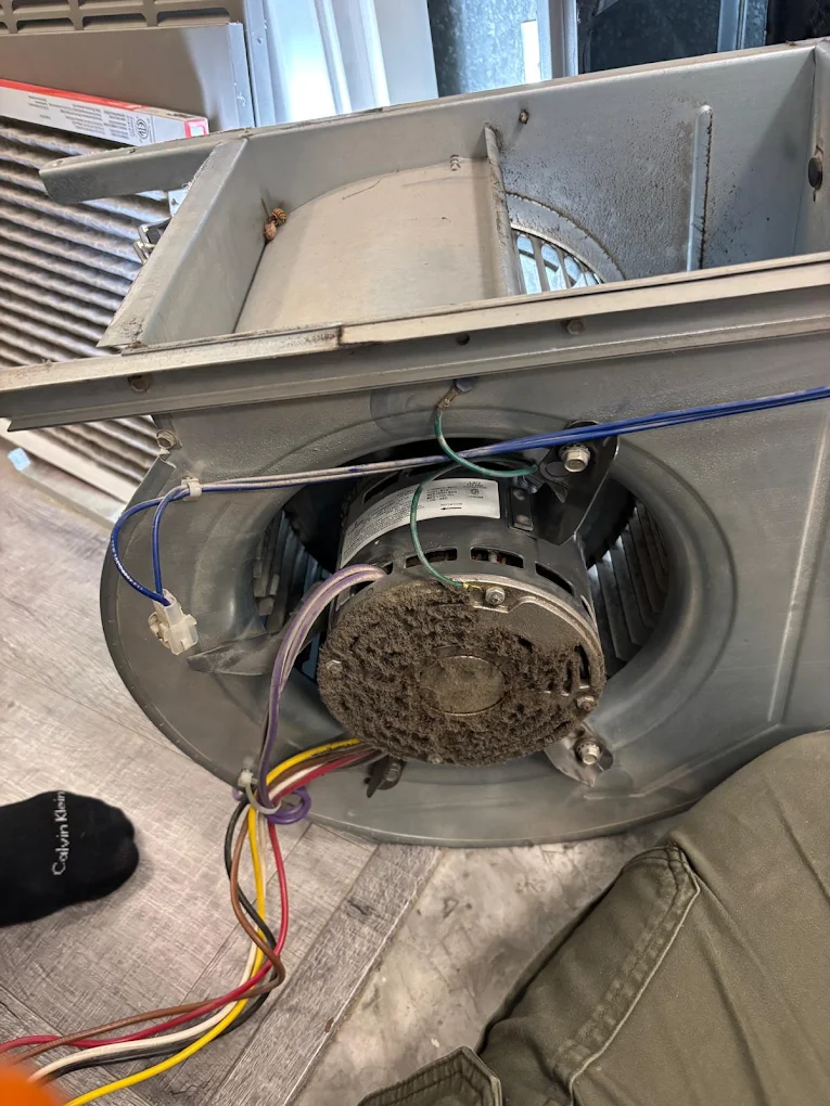 Furnace blower motor cleaned during a furnace cleaning service in Abbotsford, BC